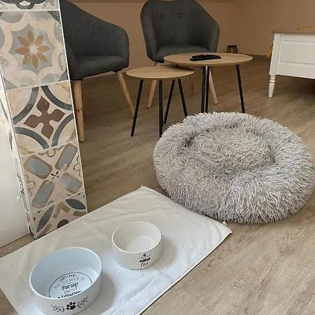 Olga D'hôte 3*